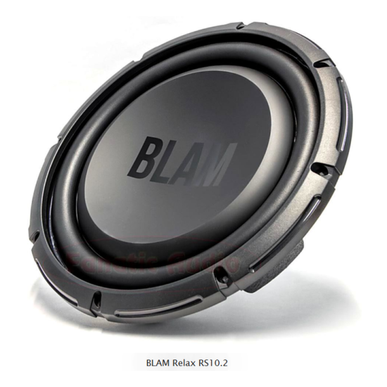 BLAM Relax RS10.2 1-cewkowy głośnik niskotonowy o średnicy 25cm/10cali do subwoofera samochodowego - 150/300W, Impedancja 2 Ohm. EXTRA SLIM AIR FREE